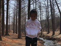 -白水寺森林公园