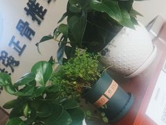 -张钰强中医正骨推拿连锁(唐家人才公寓店)