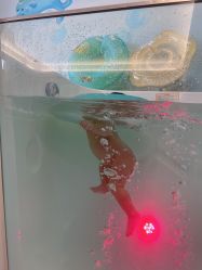 -瑞安母贝安月子会所