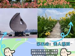 -金鸡湖景区