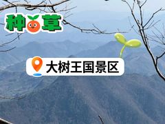 -天目山大树王景区