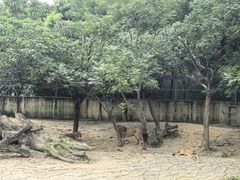-常州淹城野生动物世界