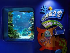 -欢乐海岸海洋奇梦馆