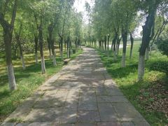 -艾溪湖湿地公园