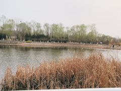 -永定河休闲森林公园