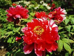 -江南大学(蠡湖校区)