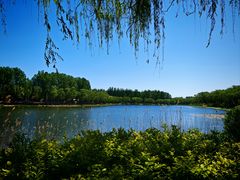 -稻香湖公园