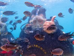 -西涌国际滨海旅游区