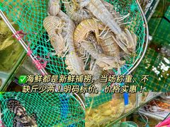 -三亚亚特兰蒂斯度假区