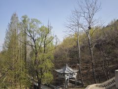 -白水寺森林公园