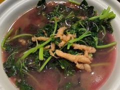 -顺承小院儿