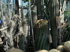 -北京植物园南门售票处