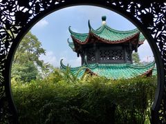 -桂湖森林公园