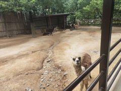 -杭州野生动物世界