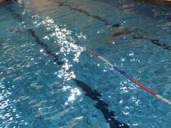 -江湾体育中心游泳馆