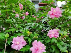 -重庆平顶山公园