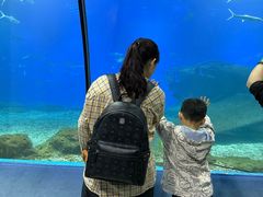 -福州罗源湾海洋世界旅游区