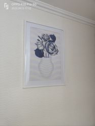 -SILKTONE诗丽堂美容