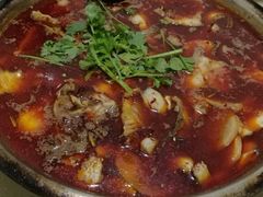 -重庆特色冷锅鱼(武大店)