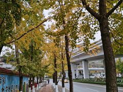 -肥龙火锅(南坪店)