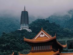 -深圳仙湖植物园