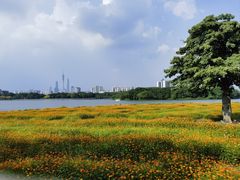 -海珠湖公园