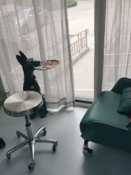-丝源发型