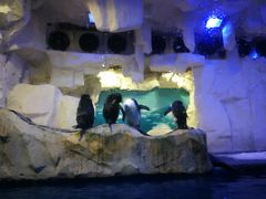 -华夏文旅海洋公园