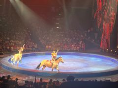 -珠海横琴长隆《卡卡虎奇遇记》