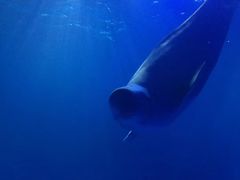 -多彩贵州城极地海洋世界