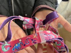 -大型宠物商超·宠海王国·宠物猫狗活体·用品·美容(新世界百货重庆店)