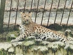 -贵州森林野生动物园