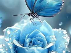 -麦的多生日蛋糕(花满庭店)