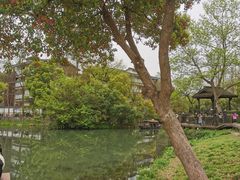 -西溪国家湿地公园