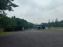 -上海佘山国家森林公园东门地面停车场