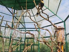-海南热带野生动植物园