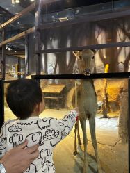 -酷嗒动物文化乐园(cutezoo西溪乐天城店)