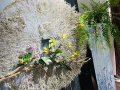 -石家庄市植物园