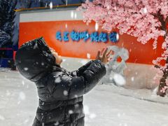 -杭州少年儿童公园