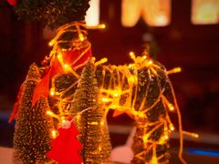 -LONG BAR 廊吧(外滩华尔道夫酒店)