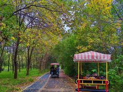 -淇河国家湿地公园