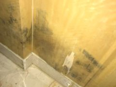 -长沙富力万达文华酒店