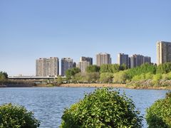 -丁香湖公园