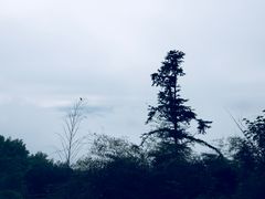 -径山寺