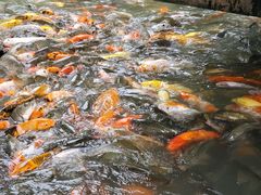 -珠海圆明新园