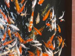 -侠成水上农庄(工业大道店)