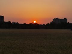 -汉长安城未央宫国家考古遗址公园