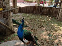 -辛玛王国游乐园