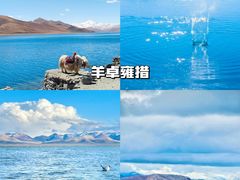 -布达拉宫