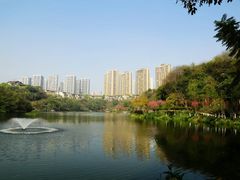 -重庆彩云湖湿地公园